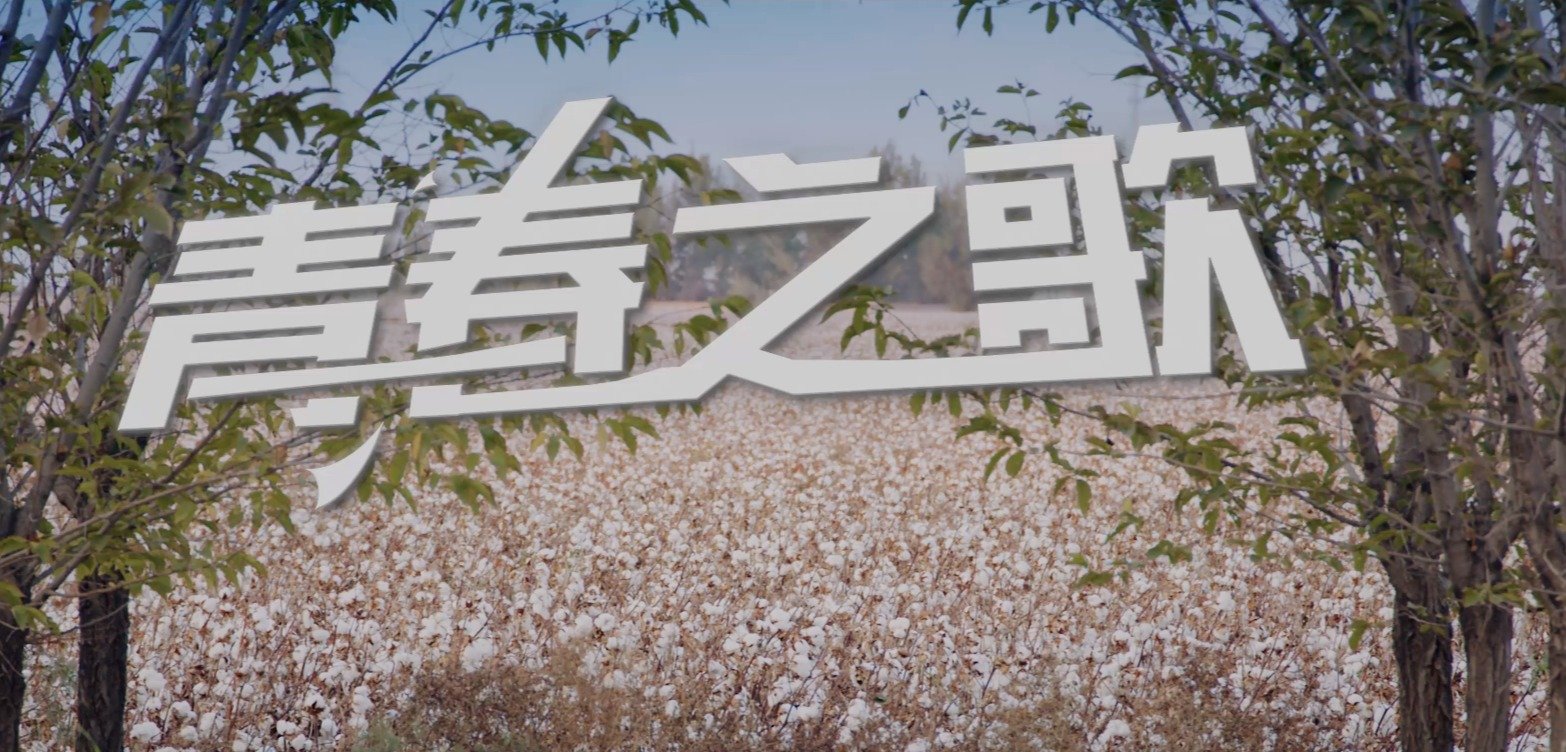 蜘蛛电竞app平台最新版下载欢迎新同学